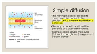 Comprehensive Study on Movement of Substances Across Plasma Membranes ...
