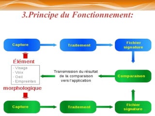 3.Principe du Fonctionnement:




                                5
 