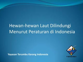 Hewan-hewan Laut Dilindungi
 Menurut Peraturan di Indonesia



Yayasan Terumbu Karang Indonesia
 