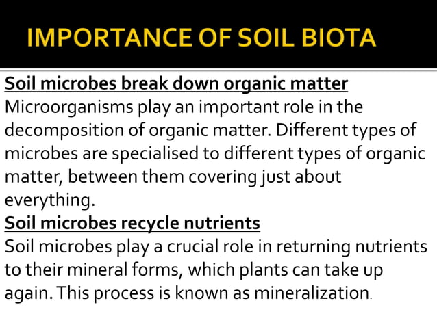 Soil biota | PPTX | Gardening | Home & Garden