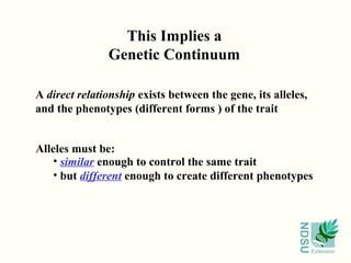 NDSU
Extension
This Implies a
Genetic Continuum
A direct relationship exists between the gene, its alleles,
and the phenotypes (different forms ) of the trait
Alleles must be:
• similar enough to control the same trait
• but different enough to create different phenotypes
 
