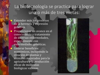 La biotecnología se practica para lograr
una o más de tres metas:
 Entender más los procesos
de la herencia y expresión
genética.
 Proporcionar un avance en el
conocimiento y tratamiento
de diversas enfermedades,
especialmente con
enfermedades genéticas.
 Generar beneficios
económicos, incluyendo la
creación de plantas y
animales mejorados para la
agricultura y la producción
eficaz de moléculas
biológicas valiosas.
 