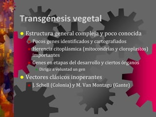 Transgénesis vegetal
 Estructura general compleja y poco conocida
 Pocos genes identificados y cartografiados
 Herencia citoplásmica (mitocondrias y cloroplastos)
importantes
 Genes en etapas del desarrollo y ciertos órganos
 Dirigir a voluntad un gen
 Vectores clásicos inoperantes
 J. Schell (Colonia) y M. Van Montagu (Gante)
 