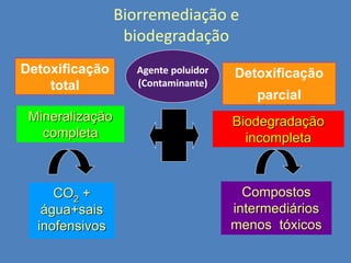 Biorremediação e
biodegradação
Detoxificação
total

Agente poluidor
(Contaminante)‫‏‬

Detoxificação
parcial

Mineralização
completa

Biodegradação
incompleta

CO2 +
água+sais
inofensivos

Compostos
intermediários
menos tóxicos

 