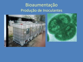 Bioaumentação
Produção de Inoculantes

 