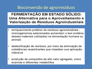 Bioconversão de agrorresíduos

 