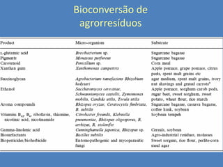 Bioconversão de
agrorresíduos

 