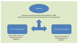 genetically modified crops | PPTX