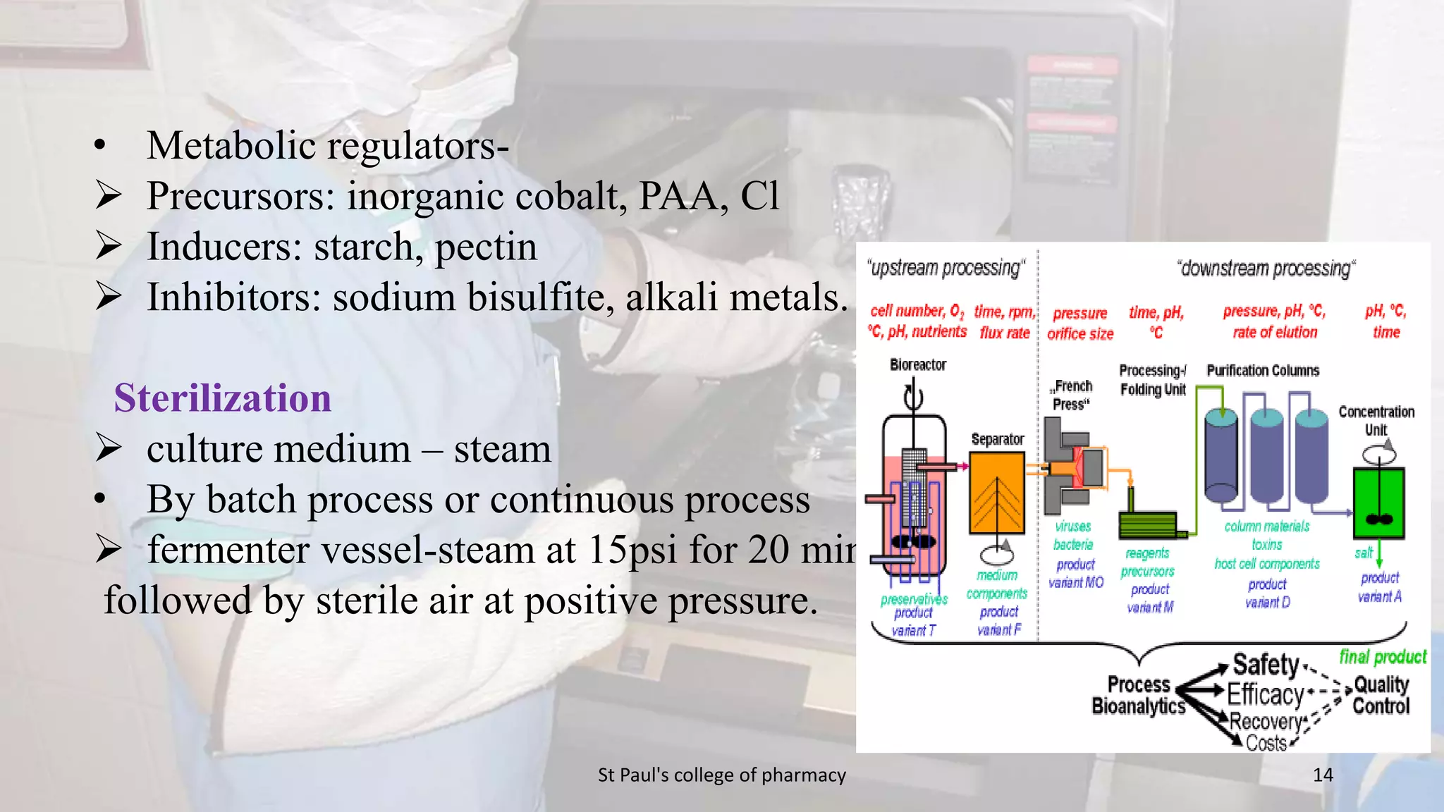 • Metabolic regulators- 
 Precursors: inorganic cobalt, PAA, Cl 
 Inducers: starch, pectin 
 Inhibitors: sodium bisulfite, alkali metals. 
Sterilization 
 culture medium – steam 
• By batch process or continuous process 
 fermenter vessel-steam at 15psi for 20 min 
followed by sterile air at positive pressure. 
St Paul's college of pharmacy 14 
 