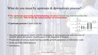 upstream & downstream process of antibiotics | PPTX
