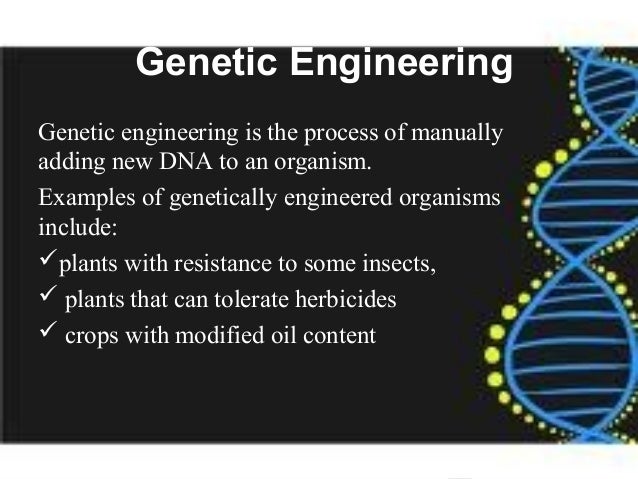 the importance of genetic engineering Genetic engineering has widespread benefits in fields of agriculture,vaccine the use of bacteria to produce proteins of medical importance. the importance of genetic engineering Genetic engineering has widespread benefits in fields of agriculture,vaccine the use of bacteria to produce proteins of medical importance.