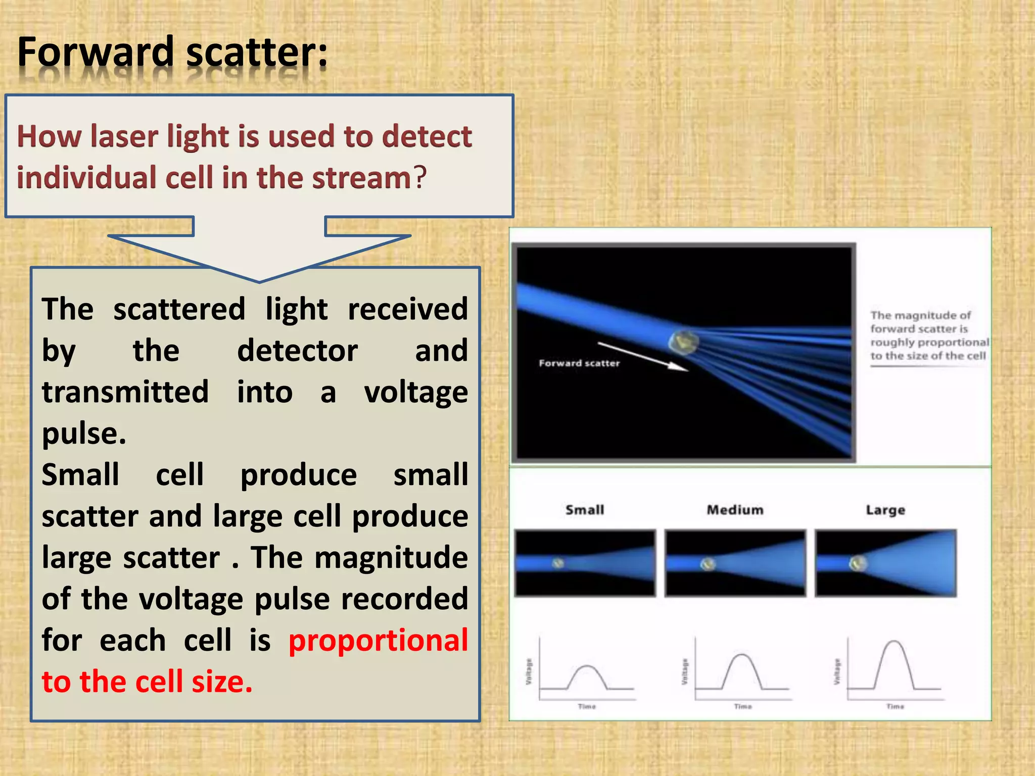 The scattered light received
by the detector and
transmitted into a voltage
pulse.
Small cell produce small
scatter and large cell produce
large scatter . The magnitude
of the voltage pulse recorded
for each cell is proportional
to the cell size.
How laser light is used to detect
individual cell in the stream?
Forward scatter:
 