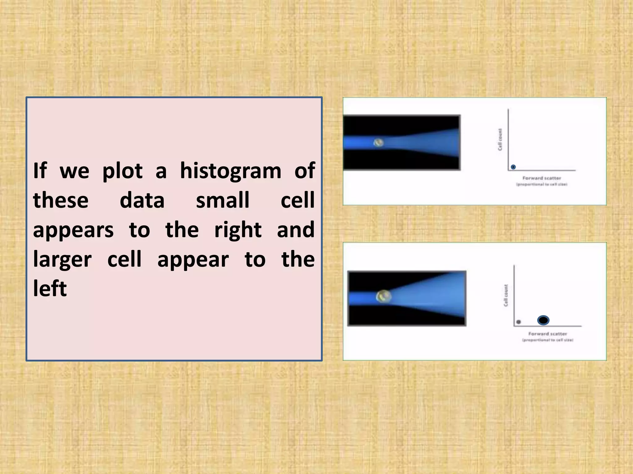 If we plot a histogram of
these data small cell
appears to the right and
larger cell appear to the
left
 