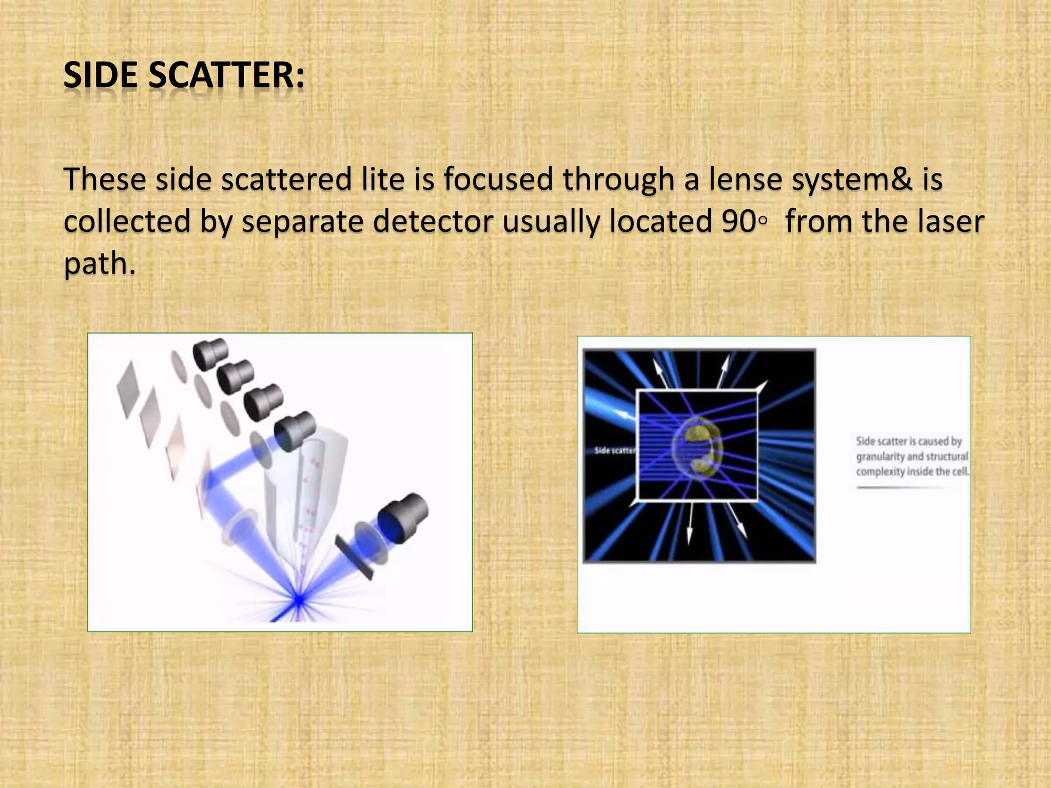 SIDE SCATTER:
These side scattered lite is focused through a lense system& is
collected by separate detector usually located 90◦ from the laser
path.
 
