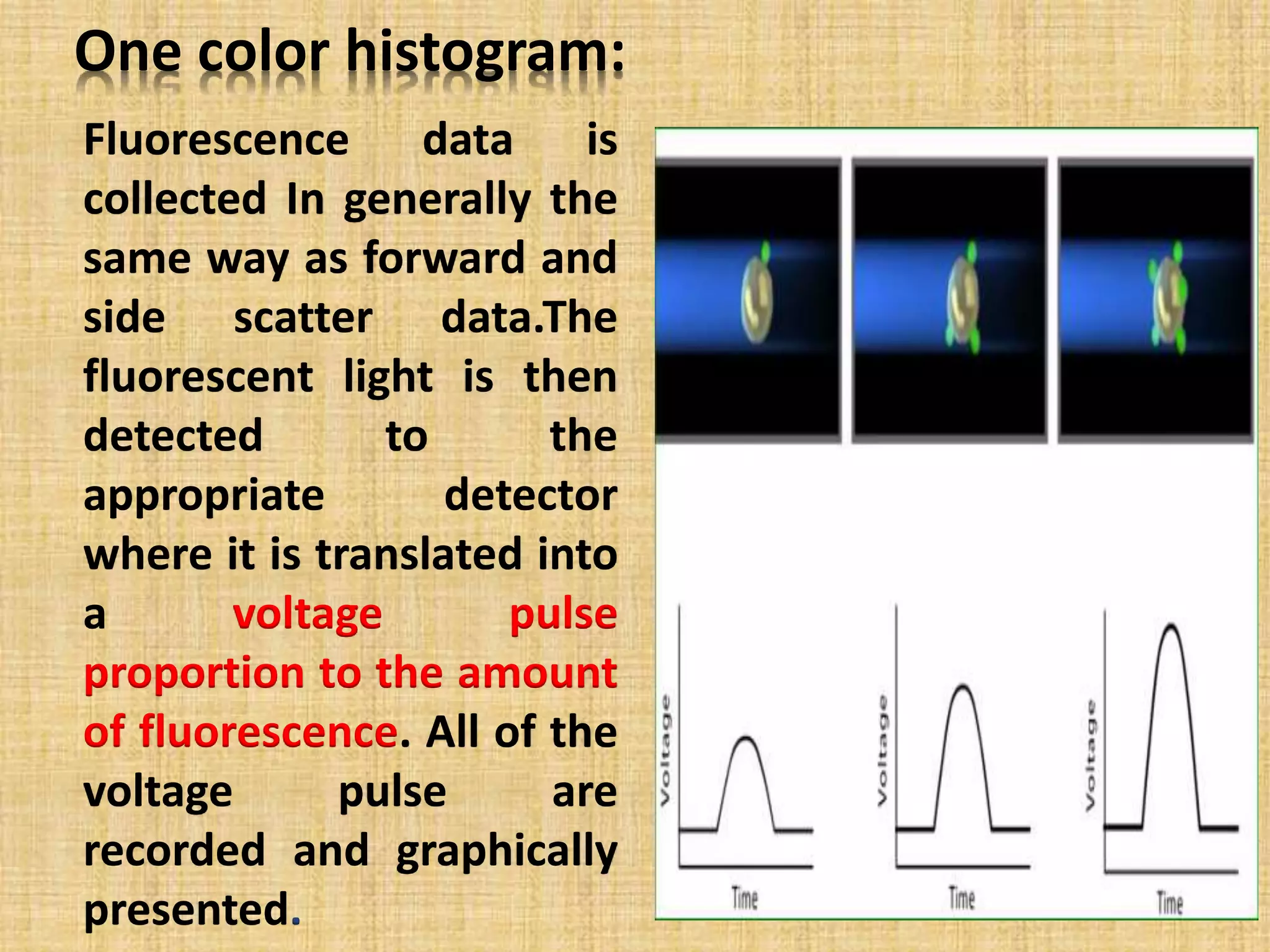 One color histogram:
Fluorescence data is
collected In generally the
same way as forward and
side scatter data.The
fluorescent light is then
detected to the
appropriate detector
where it is translated into
a voltage pulse
proportion to the amount
of fluorescence. All of the
voltage pulse are
recorded and graphically
presented.
 