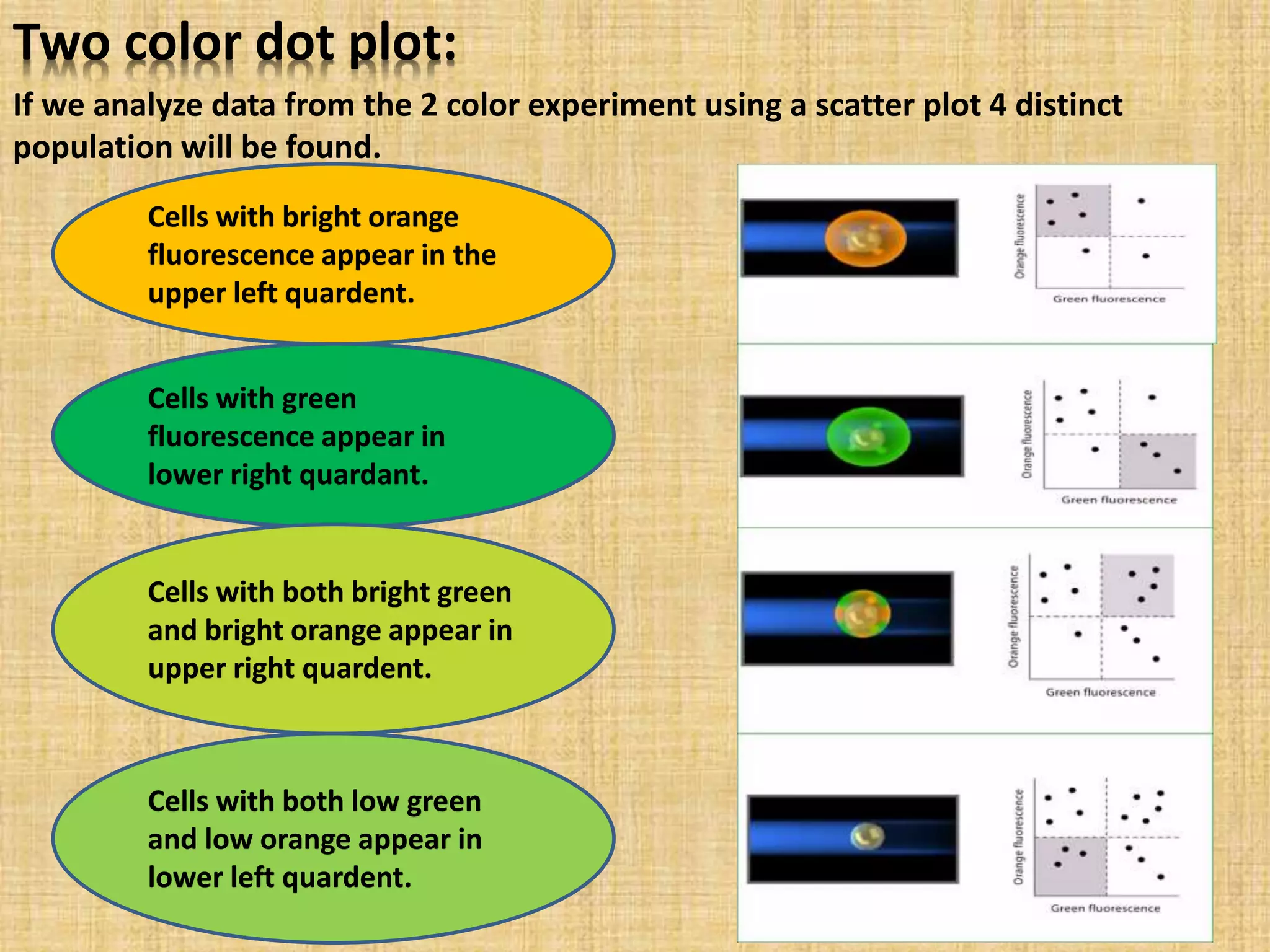 Two color dot plot:
If we analyze data from the 2 color experiment using a scatter plot 4 distinct
population will be found.
Cells with bright orange
fluorescence appear in the
upper left quardent.
Cells with green
fluorescence appear in
lower right quardant.
Cells with both bright green
and bright orange appear in
upper right quardent.
Cells with both low green
and low orange appear in
lower left quardent.
 