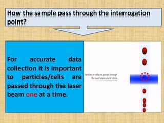 For accurate data
collection it is important
to particles/cells are
passed through the laser
beam one at a time.
How the sample pass through the interrogation
point?
 