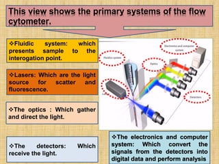 Lasers: Which are the light
source for scatter and
fluorescence.
The optics : Which gather
and direct the light
The detectors: Which
receive the light.
The electronics and computer
system: Which convert the
signals from the detectors into
digital data and perform analysis
Fluidic system: which
presents sample to the
interogation point.
This view shows the primary systems of the flow
cytometer.
 