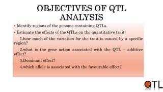  Identify regions of the genome containing QTLs.
 Estimate the effects of the QTLs on the quantitative trait:
1.how much of the variation for the trait is caused by a specific
region?
2.what is the gene action associated with the QTL – additive
effect?
3.Dominant effect?
4.which allele is associated with the favourable effect?
 