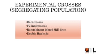 Backcrosses
F2 intercrosses
Recombinant inbred (RI) lines
Double Haploids
 