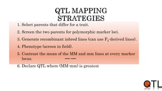 1. Select parents that differ for a trait.
2. Screen the two parents for polymorphic marker loci.
3. Generate recombinant inbred lines (can use F2-derived lines).
4. Phenotype (screen in field).
5. Contrast the mean of the MM and mm lines at every marker
locus.
6. Declare QTL where (MM-mm) is greatest
 