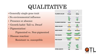  Generally single gene trait
 No environmental influence
 Presence or absence
• Growth habit: Tall vs. Dwarf
• Pigmentation:
Pigmented vs. Non-pigmented
• Disease reaction:
Resistant vs. susceptible
 