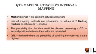 • Marker interval = the segment between 2 markers
• Interval mapping methods use information on values of 2 flanking
markers to estimate QTL position
• The probability that the data could be obtained assuming a QTL at
several positions between the markers is calculated.
• QTL = declared where the probability of obtaining the observed data is
highest.
 