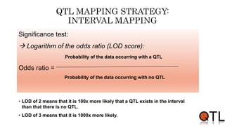 • LOD of 2 means that it is 100x more likely that a QTL exists in the interval
than that there is no QTL.
• LOD of 3 means that it is 1000x more likely.
Significance test:
 Logarithm of the odds ratio (LOD score):
Probability of the data occurring with a QTL
Odds ratio =
Probability of the data occurring with no QTL
 