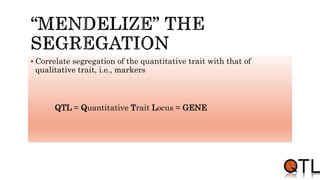  Correlate segregation of the quantitative trait with that of
qualitative trait, i.e., markers
QTL = Quantitative Trait Locus = GENE
 