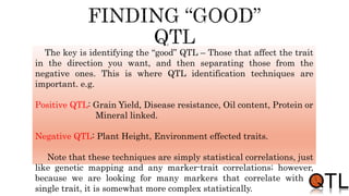 The key is identifying the “good” QTL – Those that affect the trait
in the direction you want, and then separating those from the
negative ones. This is where QTL identification techniques are
important. e.g.
Positive QTL: Grain Yield, Disease resistance, Oil content, Protein or
Mineral linked.
Negative QTL: Plant Height, Environment effected traits.
Note that these techniques are simply statistical correlations, just
like genetic mapping and any marker-trait correlations; however,
because we are looking for many markers that correlate with a
single trait, it is somewhat more complex statistically.
 