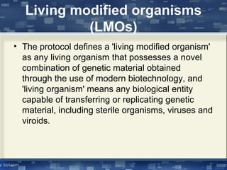 Living modified organisms
(LMOs)
• The protocol defines a 'living modified organism'
as any living organism that possesses a novel
combination of genetic material obtained
through the use of modern biotechnology, and
'living organism' means any biological entity
capable of transferring or replicating genetic
material, including sterile organisms, viruses and
viroids.
 