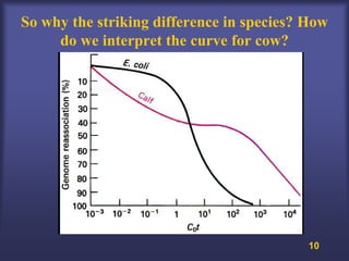 So why the striking difference in species? How
     do we interpret the curve for cow?




                                           10
 