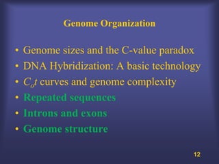 Genome Organization

•   Genome sizes and the C-value paradox
•   DNA Hybridization: A basic technology
•   Cot curves and genome complexity
•   Repeated sequences
•   Introns and exons
•   Genome structure

                                       12
 