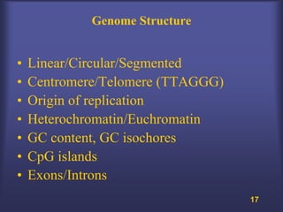 Genome Structure


•   Linear/Circular/Segmented
•   Centromere/Telomere (TTAGGG)
•   Origin of replication
•   Heterochromatin/Euchromatin
•   GC content, GC isochores
•   CpG islands
•   Exons/Introns
                                   17
 