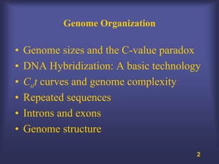 Genome Organization

•   Genome sizes and the C-value paradox
•   DNA Hybridization: A basic technology
•   Cot curves and genome complexity
•   Repeated sequences
•   Introns and exons
•   Genome structure

                                        2
 