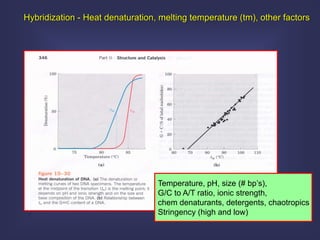 Hybridization - Heat denaturation, melting temperature (tm), other factors




                                  Temperature, pH, size (# bp’s),
                                  G/C to A/T ratio, ionic strength,
                                  chem denaturants, detergents, chaotropics
                                  Stringency (high and low)
 