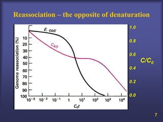 Reassociation – the opposite of denaturation
                                     1.0


                                     0.8


                                     0.6
                                           C/C0
                                     0.4


                                     0.2


                                     0.0



                                                  7
 