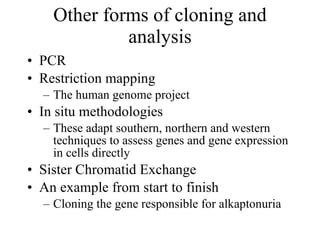 Other forms of cloning and analysis ,[object Object],[object Object],[object Object],[object Object],[object Object],[object Object],[object Object],[object Object]