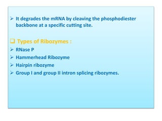 Biotechnology- Antisense Technology