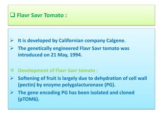 Biotechnology- Antisense Technology