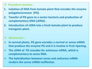 Biotechnology- Antisense Technology