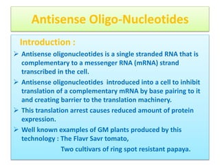 Biotechnology- Antisense Technology