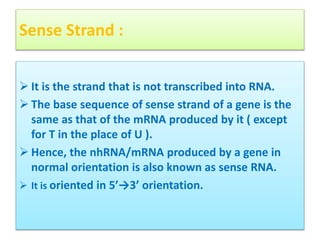 Biotechnology- Antisense Technology