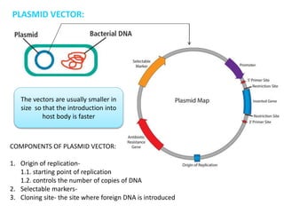 Biotechnology | PPTX