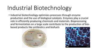 Industrial Biotechnology
• Industrial biotechnology optimizes processes through enzyme
production and the use of biological catalysts. Enzymes play a crucial
role in efficiently producing chemicals and materials. Bioprocessing
and fermentation on a large scale contribute to the production of bio-
based products like antibiotics and biofuels
 