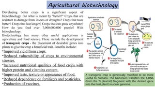 Introduction to biotechnology a new science of this time | PDF