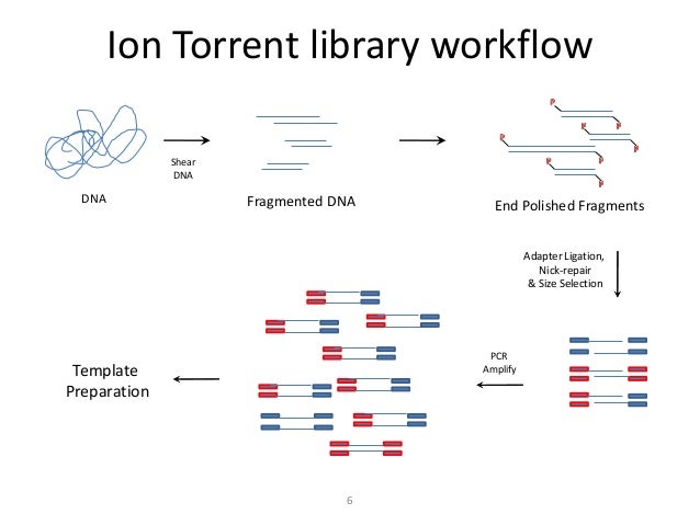 ion torrent workflow biotech autumn2012 02 ngs2 ion torrent workflow biotech autumn2012 02 ngs2