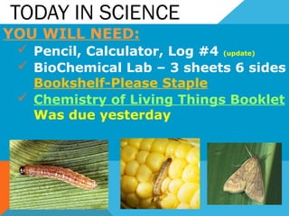 TODAY IN SCIENCE
YOU WILL NEED:
 Pencil, Calculator, Log #4 (update)
 BioChemical Lab – 3 sheets 6 sides
Bookshelf-Please Staple
 Chemistry of Living Things Booklet
Was due yesterday
 