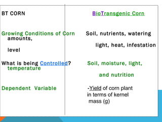 BT CORN BioTransgenic Corn
Growing Conditions of Corn Soil, nutrients, watering
amounts,
light, heat, infestation
level
What is being Controlled? Soil, moisture, light,
temperature
and nutrition
Dependent Variable -Yield of corn plant
in terms of kernel
mass (g)
 