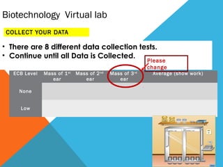 Biotechnology Virtual lab
COLLECT YOUR DATA
ECB Level Mass of 1st
ear
Mass of 2nd
ear
Mass of 3rd
ear
Average (show work)
 
None
       
 
Low
       
• There are 8 different data collection tests.
• Continue until all Data is Collected.
Please
change
 